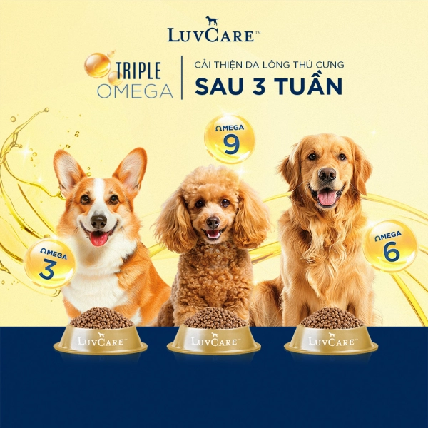 hinh01-kv-luvcare