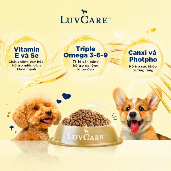 hinh02-usp-luvcare