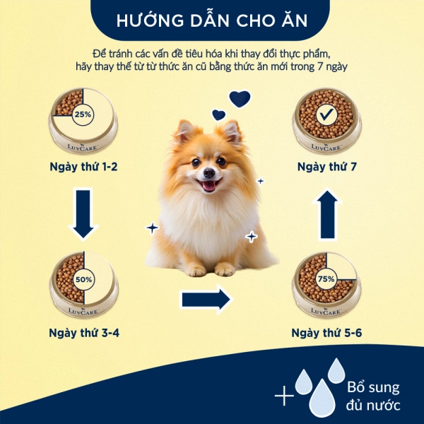 hinh05-huong-dan-cho-an-luvcare