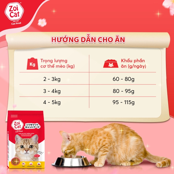 huong-dan-cho-an-1