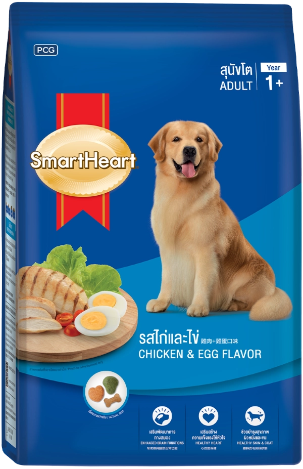 sh-adult-chicken-n-egg