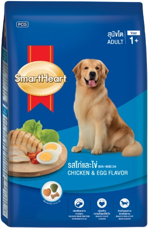 sh-adult-chicken-n-egg