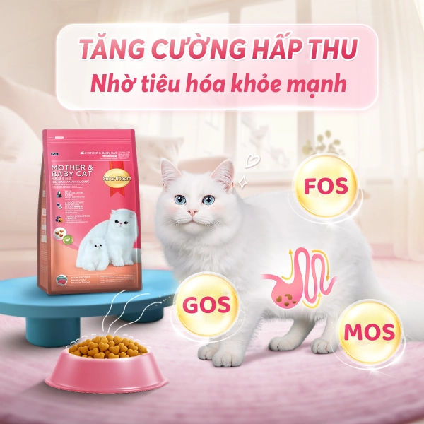 anh-10-he-tieu-hoa-1