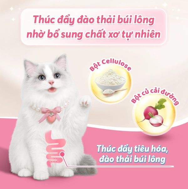 anh-7-chong-bui-long-1