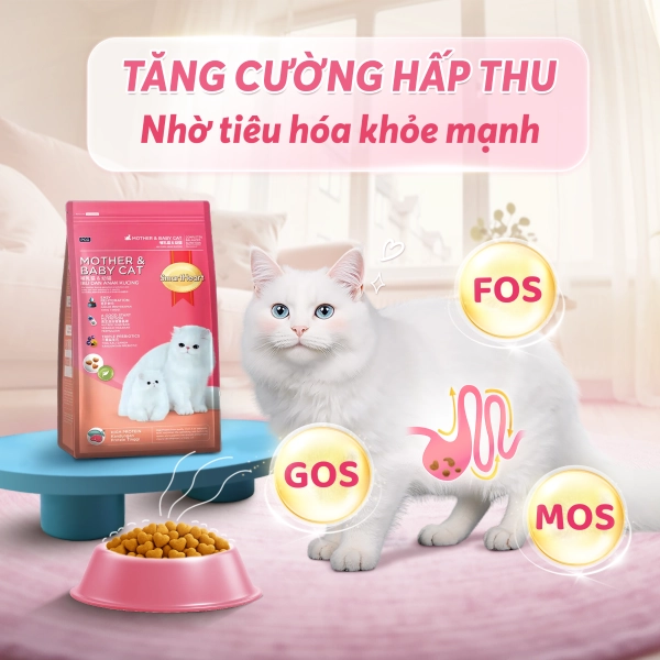 anh-10-he-tieu-hoa