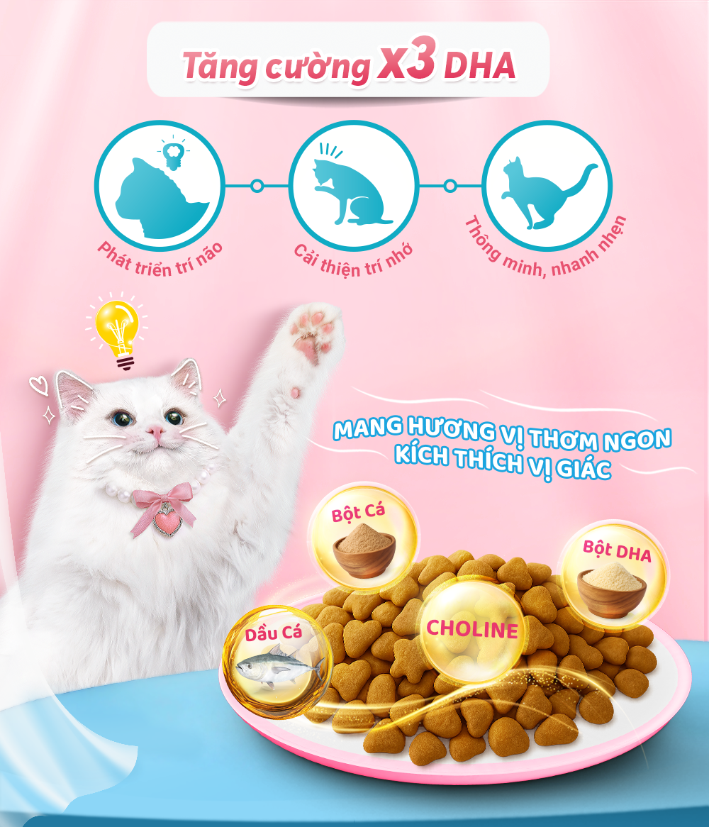 anh-4-kitten-adulttriet-san-chong-bui-long-1
