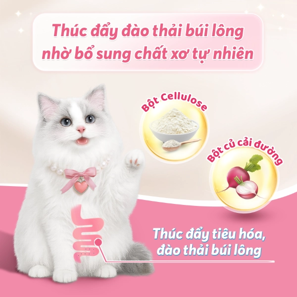 anh-7-chong-bui-long