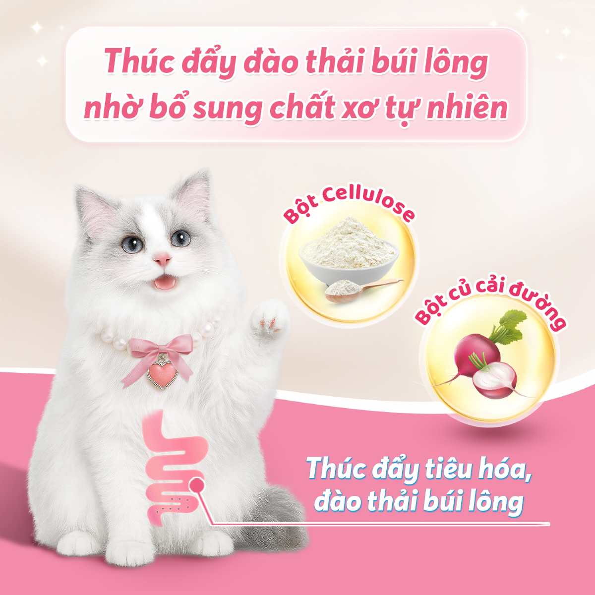anh-7-chong-bui-long