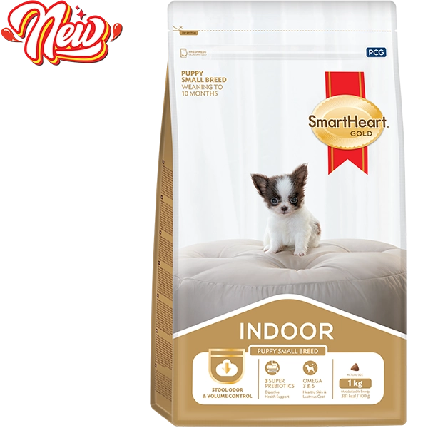 hinh-website-indoor-01-2