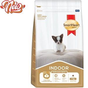hinh-website-indoor-01-2