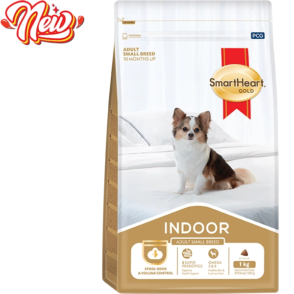 hinh-website-indoor-02-2
