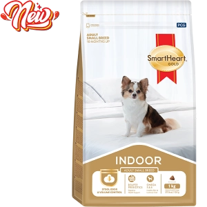 hinh-website-indoor-02-2