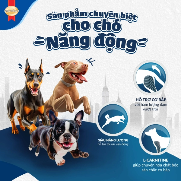 hinh02-kv-san-shpp-2