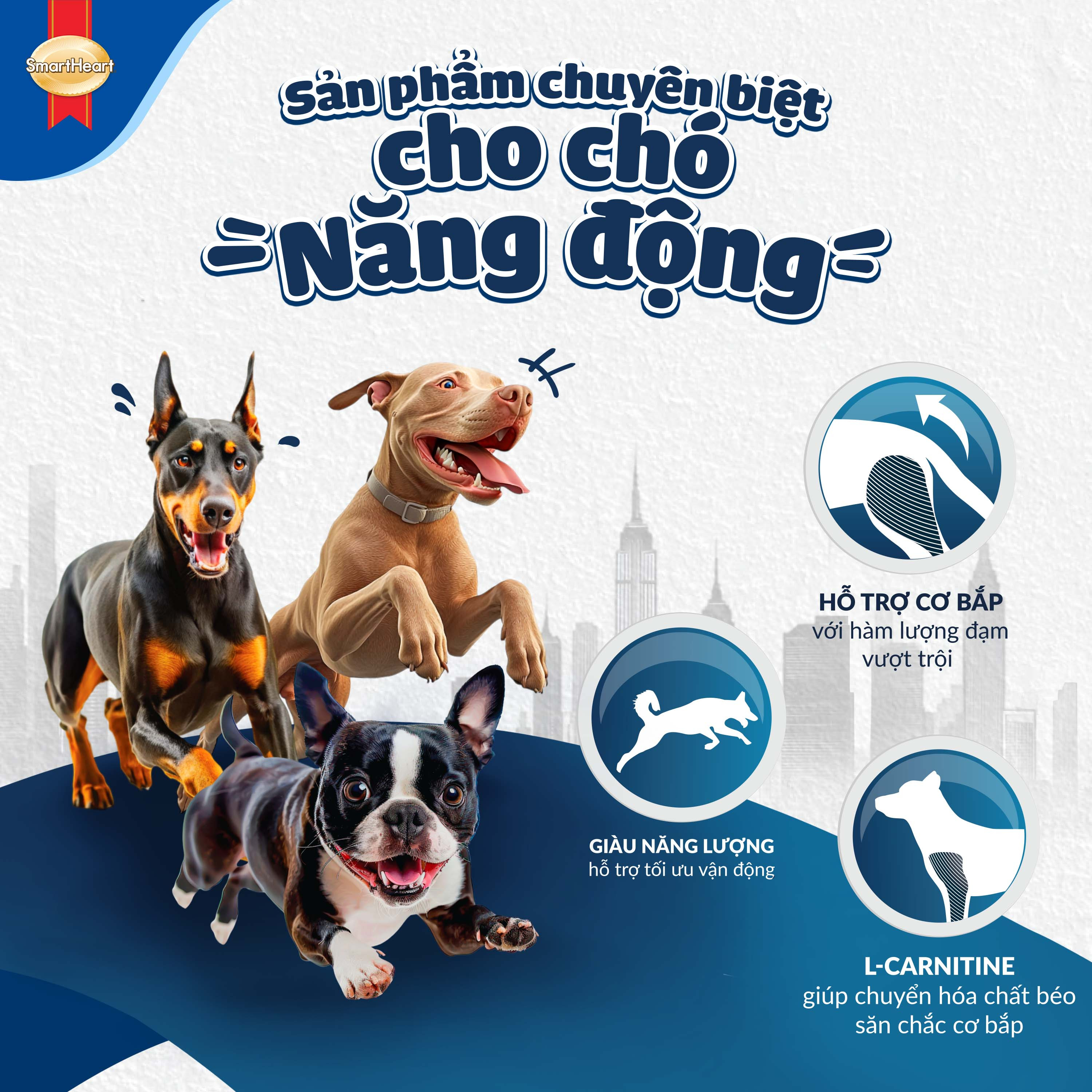 hinh02-kv-san-shpp-2