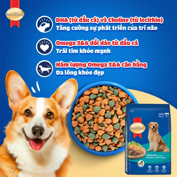 hinh02-usp-chicken-and-liver