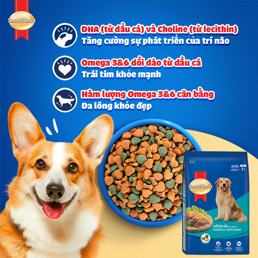hinh02-usp-chicken-and-liver