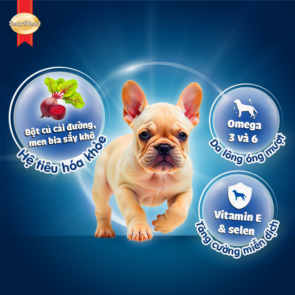 hinh04-usppp-puppy