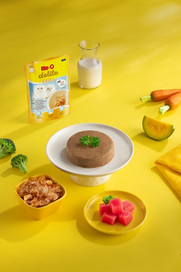 meo-delite-ca-ngu-va-sua-de