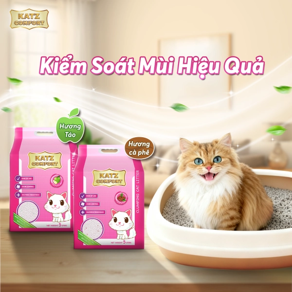 anh-5-kiem-soat-mui-hieu-qua-1