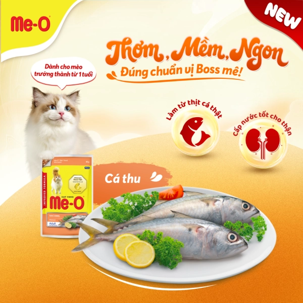hinh-up-website-10