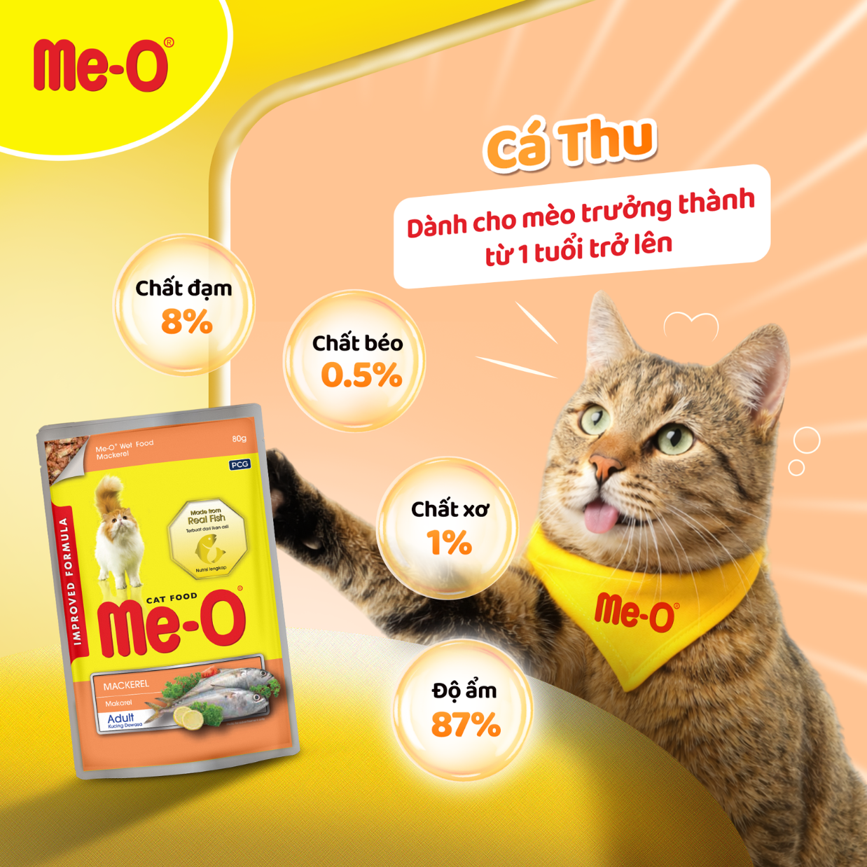 hinh-up-website-11