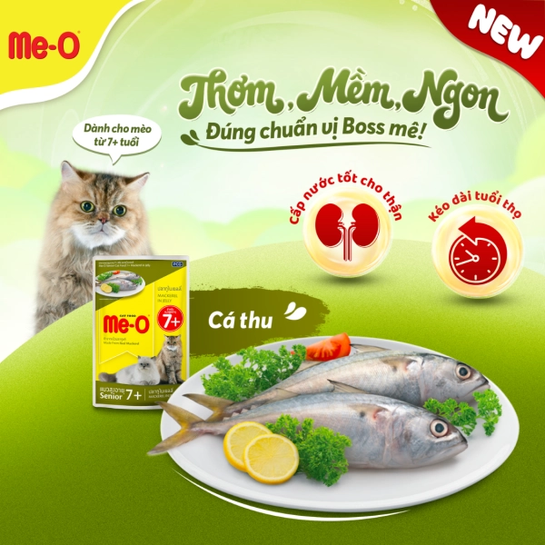 hinh-up-website-14