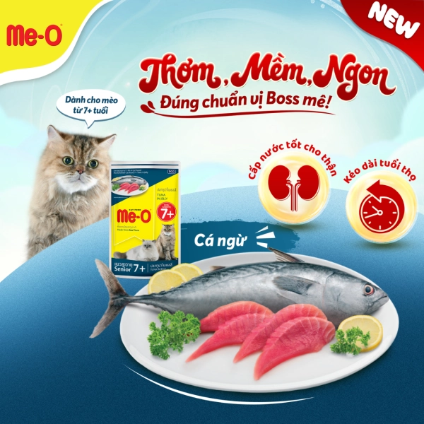 hinh-up-website-17