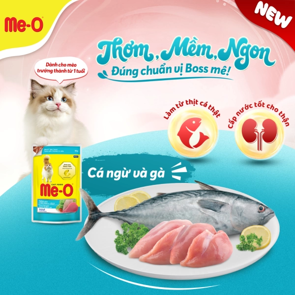 hinh-up-website-4