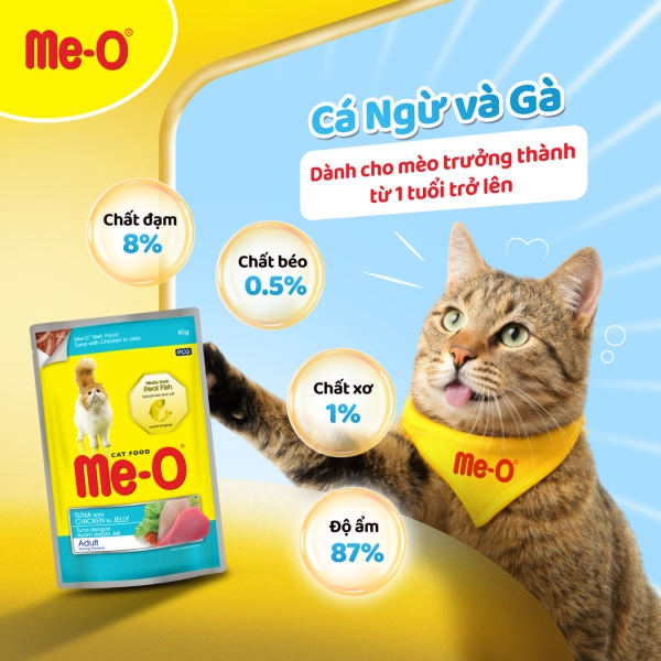 hinh-up-website-7
