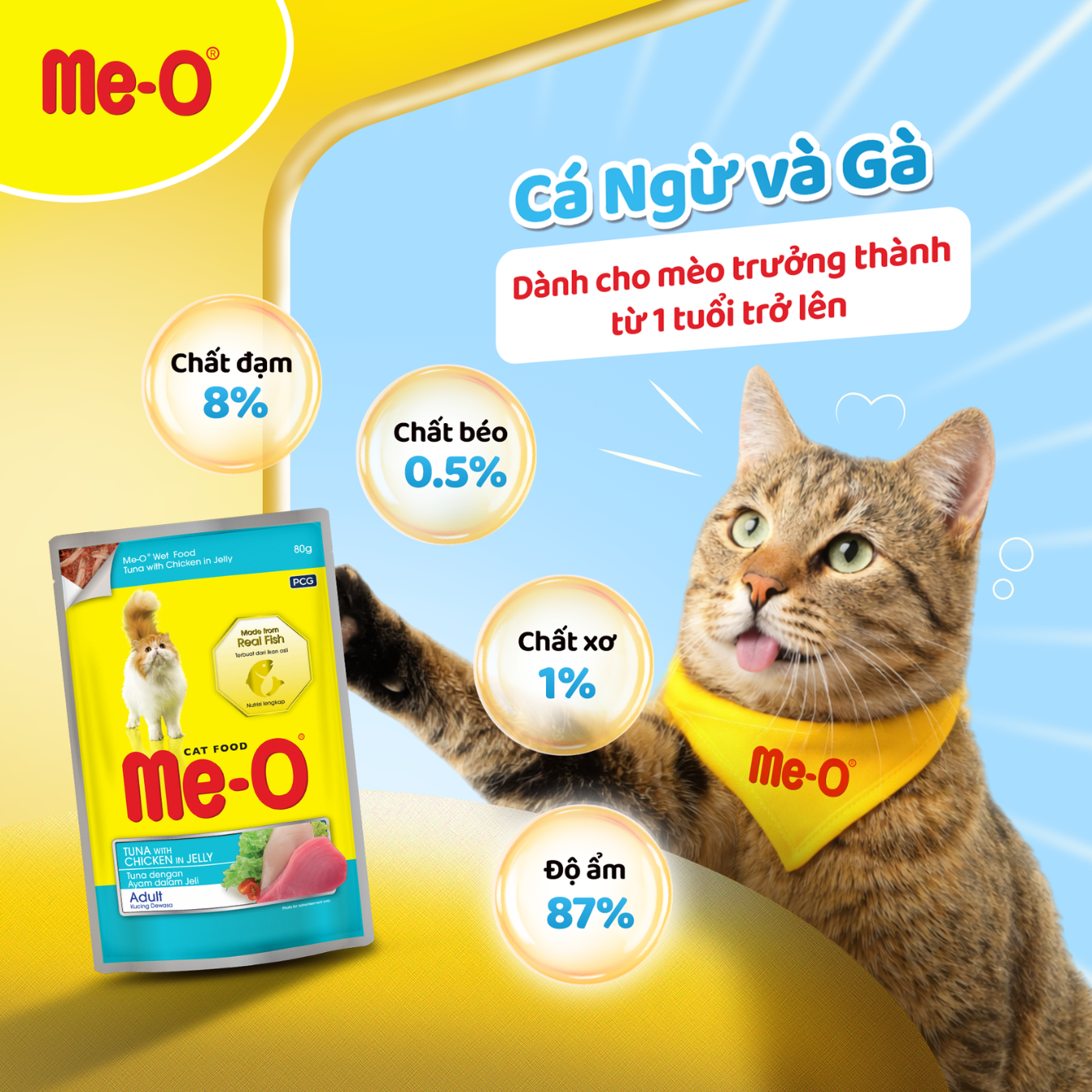 hinh-up-website-7