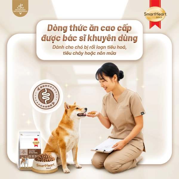 shg-vet-gastro-slide-14