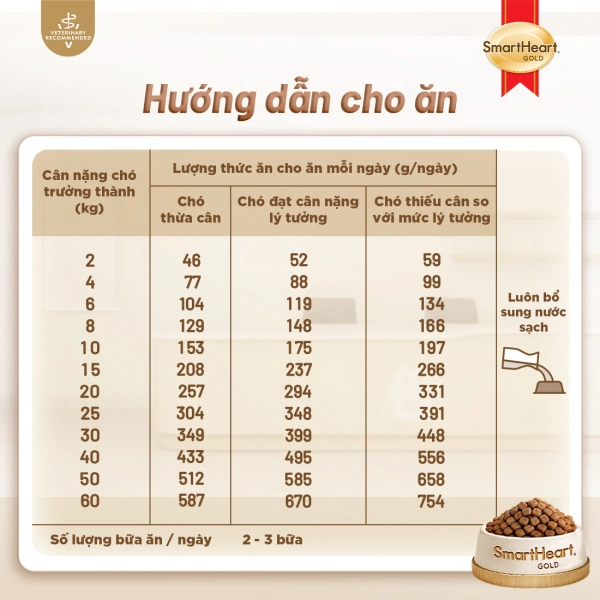 shg-vet-gastro-slide-19