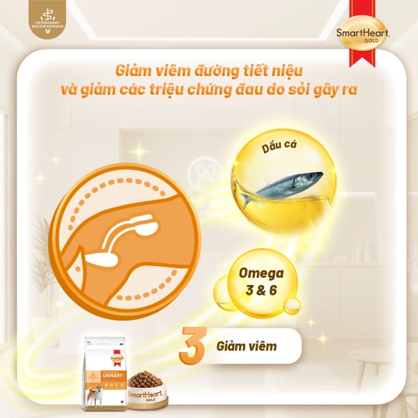 shg-vet-urinary-slide-10