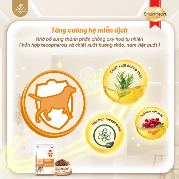 shg-vet-urinary-slide-11