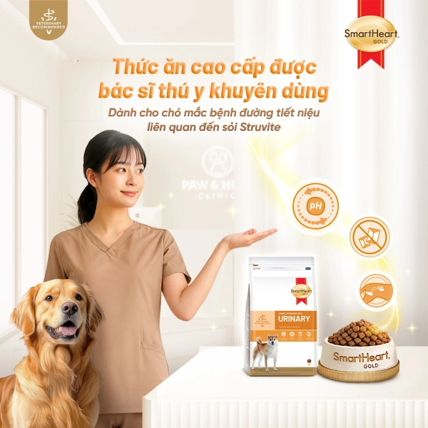 shg-vet-urinary-slide-8