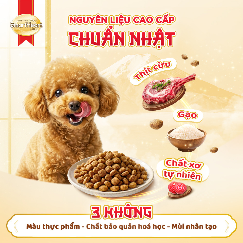 ecom-shg-slide-4-nguyen-lieu