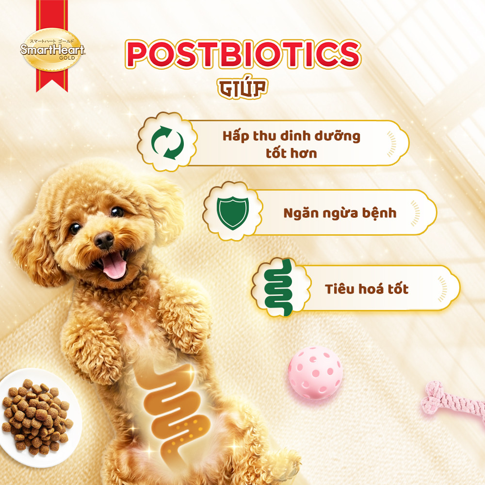 ecom-shg-slide-6-tieu-hoa-khoe-manh