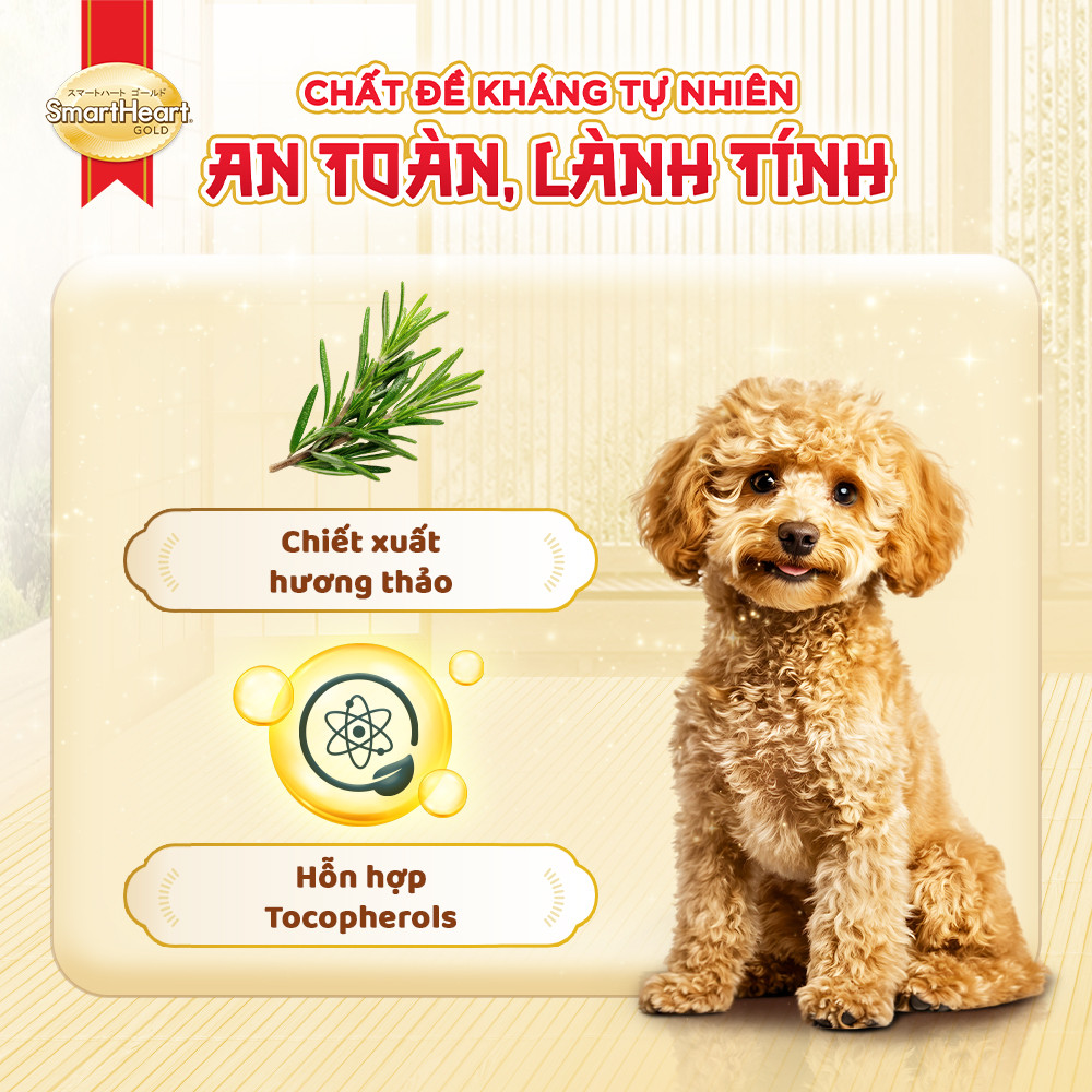ecom-shg-slide-8-thanh-phan