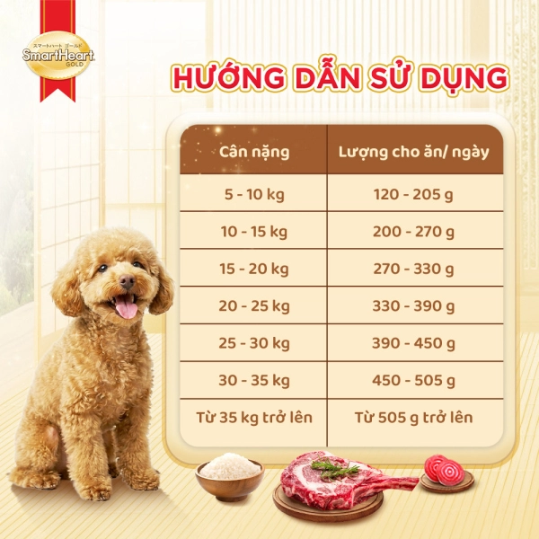 ecom-shg-slide-9-huong-dan