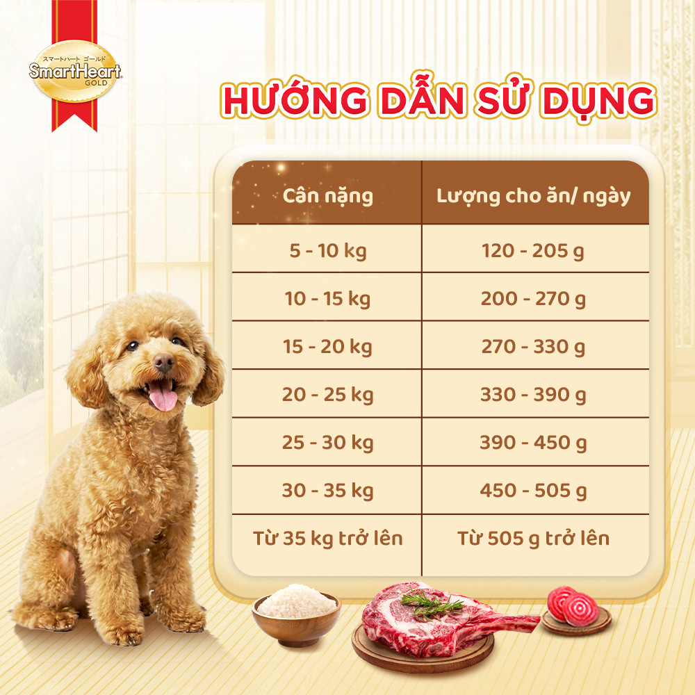 ecom-shg-slide-9-huong-dan