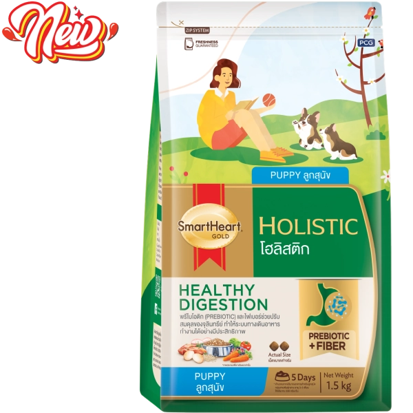 hinh-web-holistic-01-1