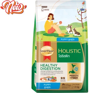 hinh-web-holistic-01-1