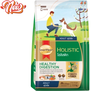 hinh-web-holistic-02-1