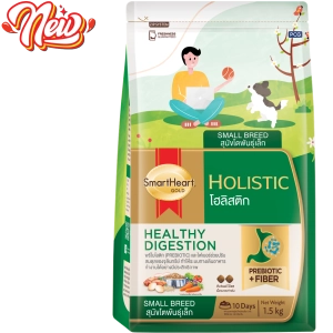 hinh-web-holistic-03-1