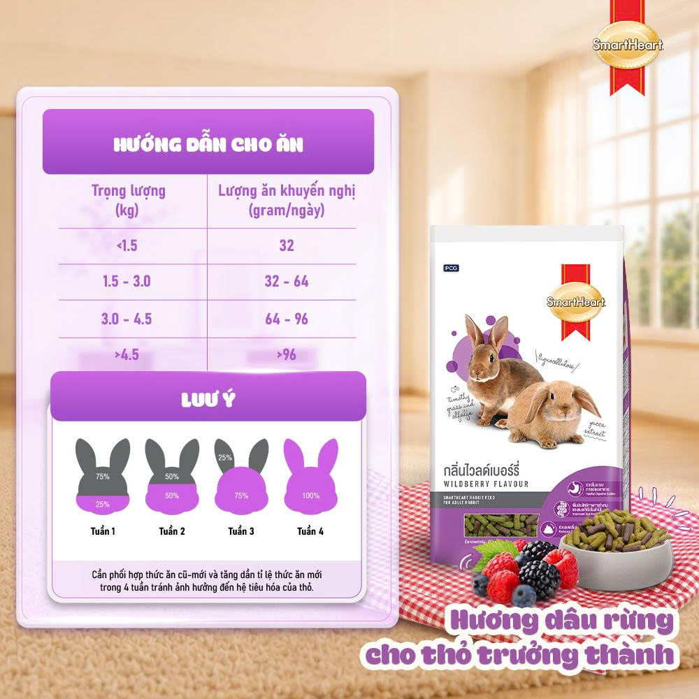 huong-dan-cho-an-2