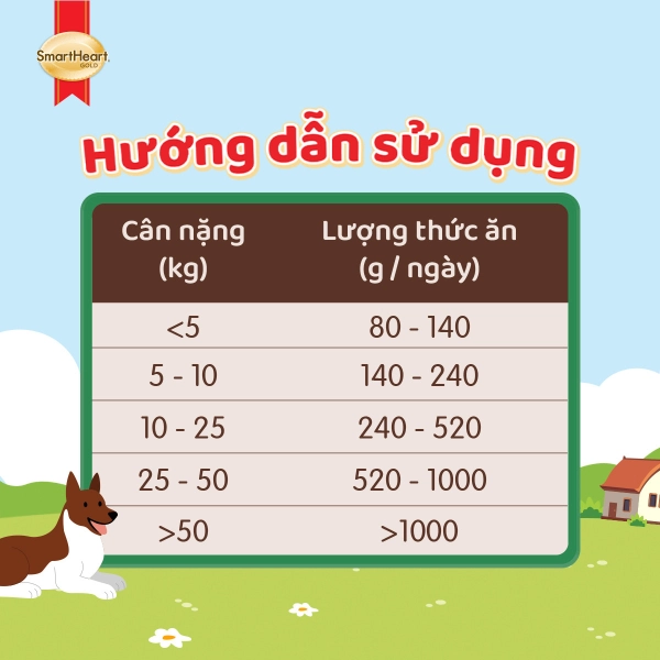 huong-dan-su-dung-2