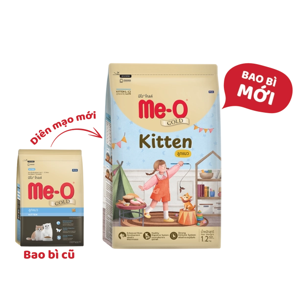 me-o-gold-kitten
