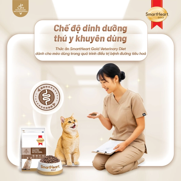 shg-vet-gastro-anh-1