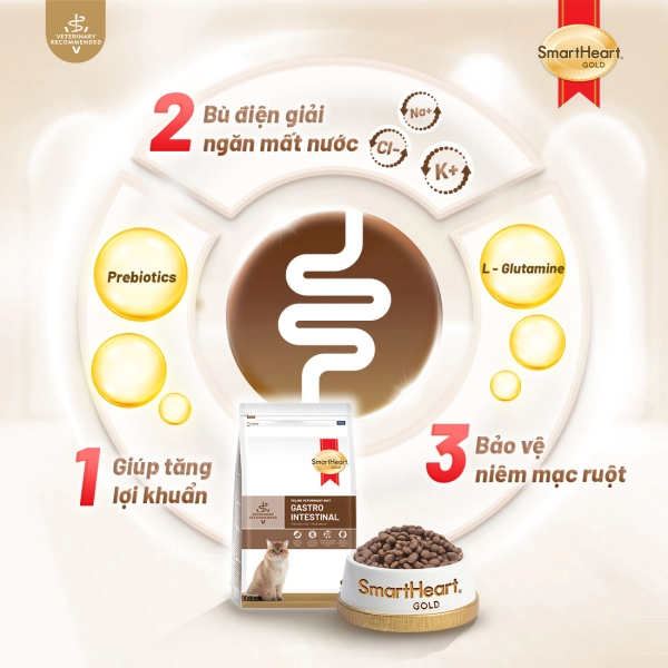 shg-vet-gastro-anh-2
