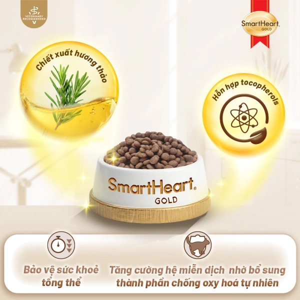 shg-vet-gastro-anh-3